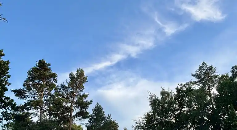 Sommerhus i naturen med ro, pejs og have