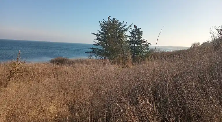 Hyggeligt sommerhus med havudsigt