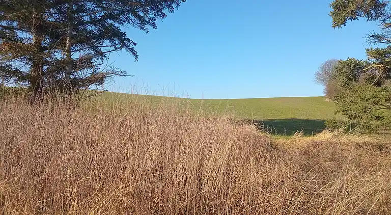 Hyggeligt sommerhus med havudsigt