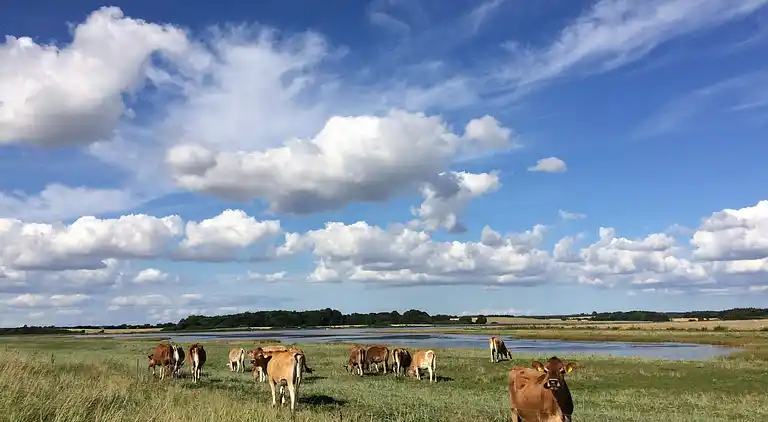 Ferienhaus in Assens