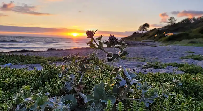 Holiday home in Slagelse