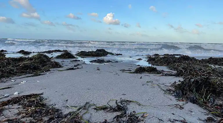 Holiday home in Slagelse