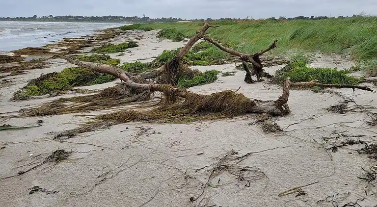 Holiday home in Slagelse