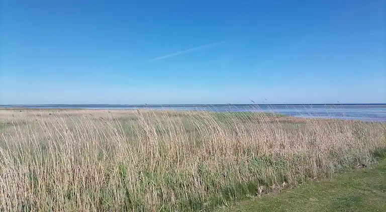 Feriebolig i Ørsted