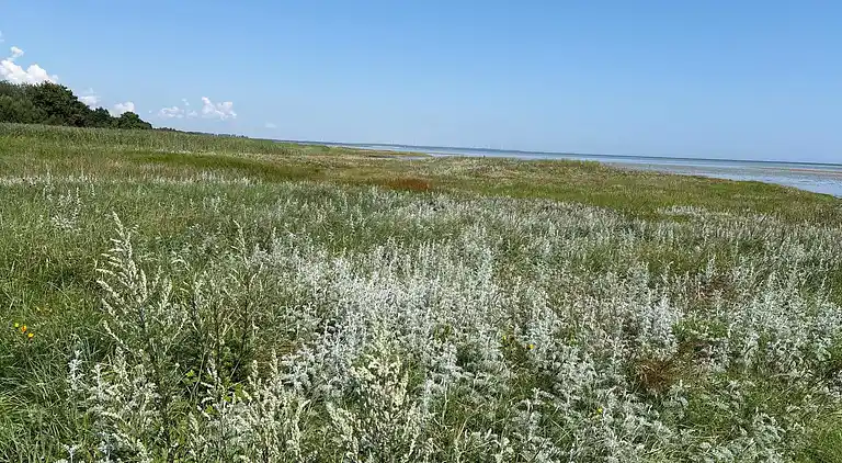 Feriebolig i Ørsted