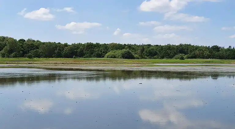 Feriebolig i Ørsted