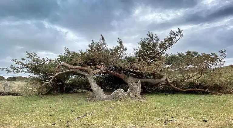 Casa vacanze in Vejby