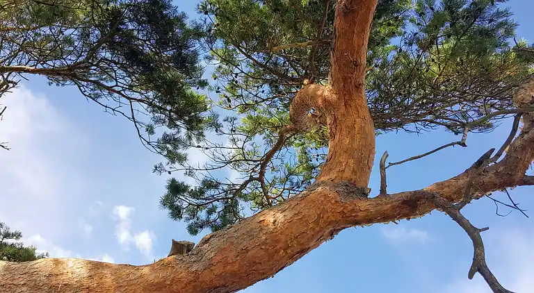 Casa vacanze in Vejby