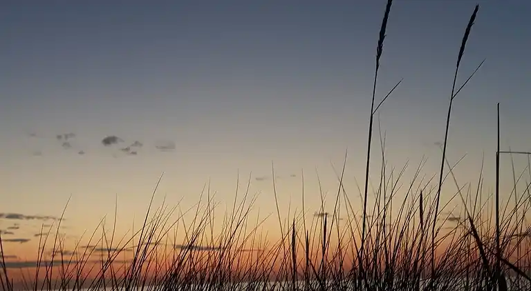 Holiday home in Gribskov