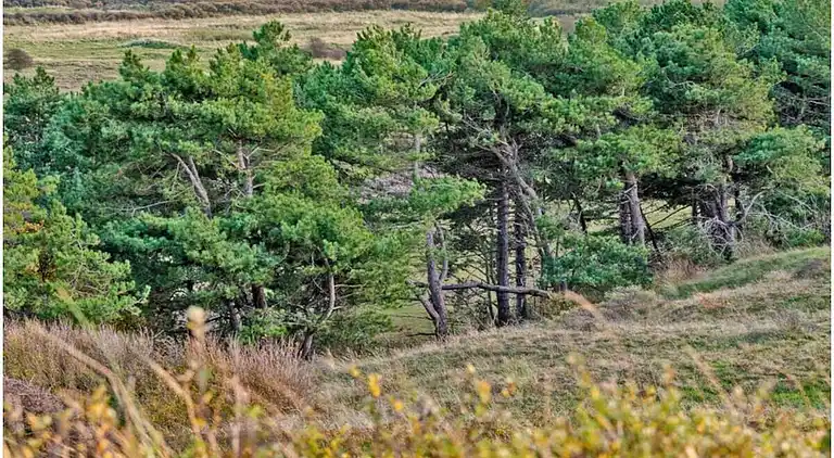 Ferienhaus in Broek op Langedijk