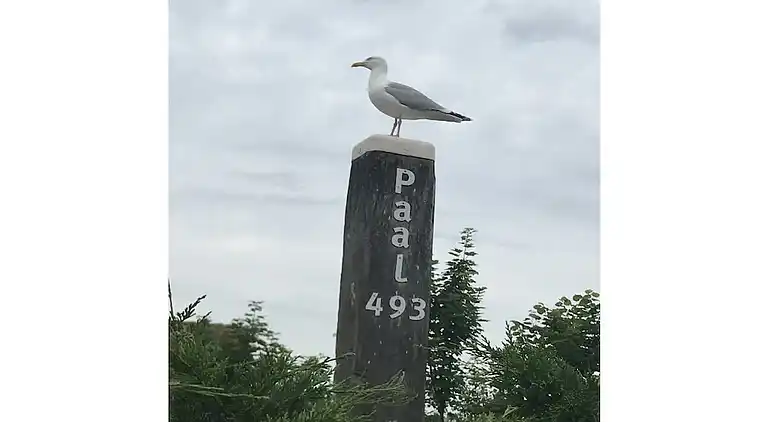 Bungalow in De Cocksdorp