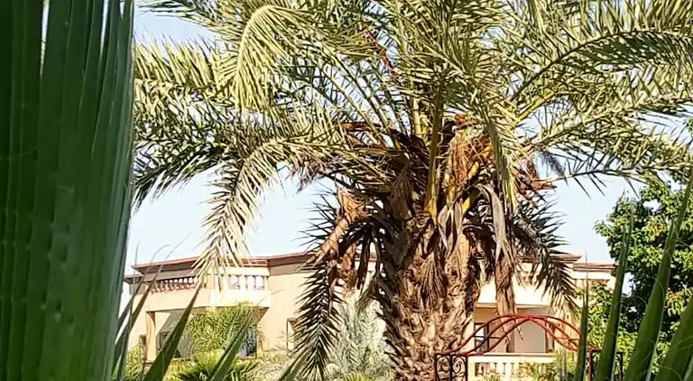 Eden villa Marrakech