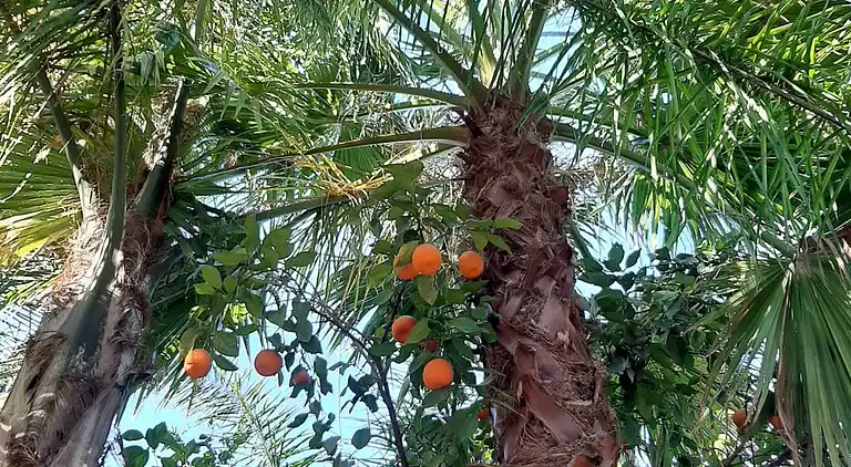 Eden villa Marrakech