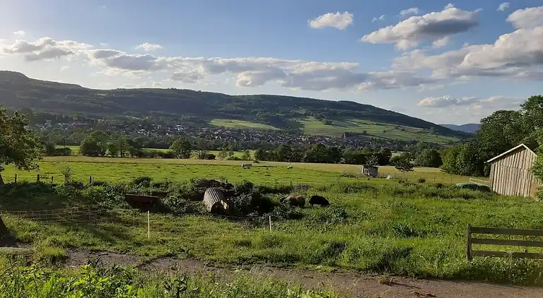Holiday home in Wüstensachsen