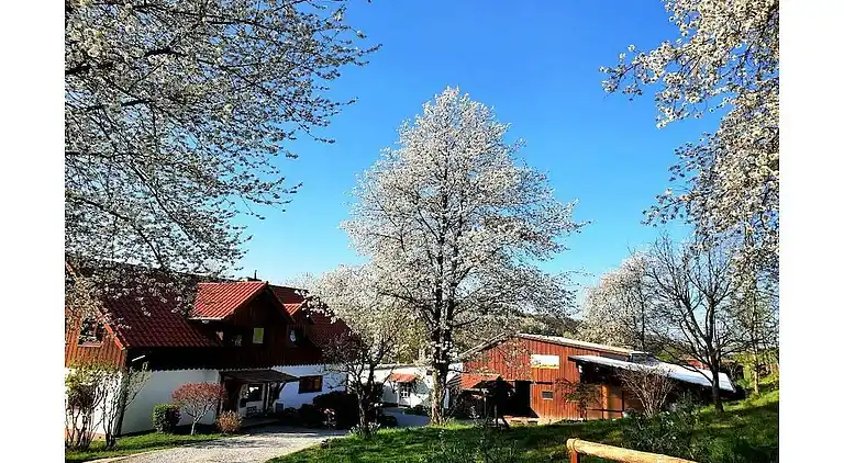 Holiday home in Windeck