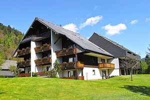 Ferienhaus in Menzenschwand