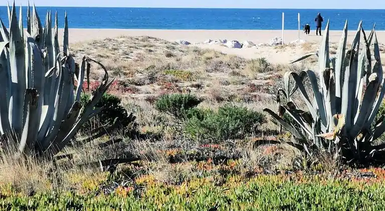 Ferienwohnung in Okzitanien