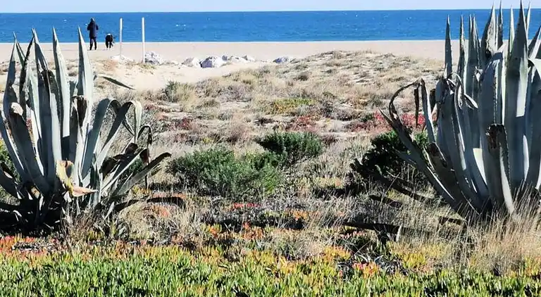 Ferienwohnung in Okzitanien
