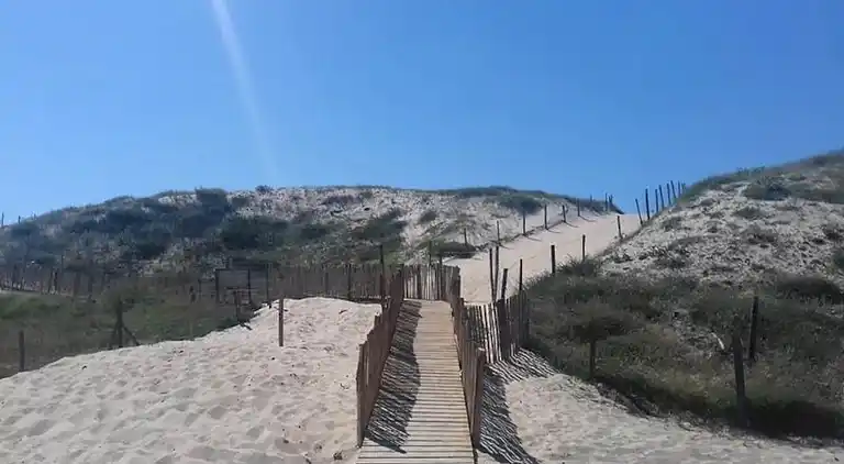 Apartment in Angresse