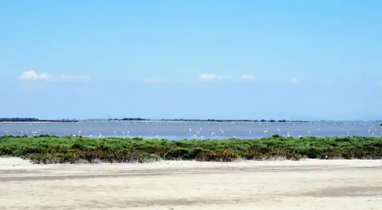 Ferienwohnung in Hœdic