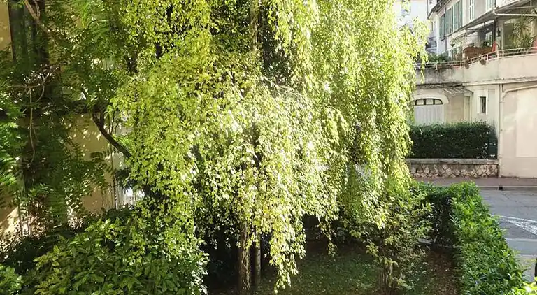 Ferienwohnung in Mouxy