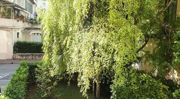 Ferienwohnung in Mouxy