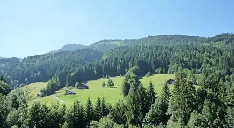 Apartment in Le Grand-Bornand