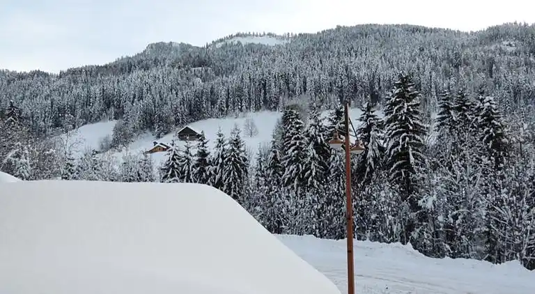 Apartment in Le Grand-Bornand
