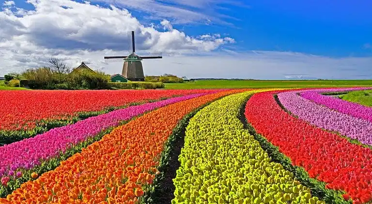 Ferienhaus in Broek op Langedijk
