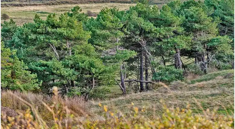 Ferienhaus in Broek op Langedijk