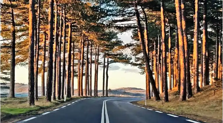 Ferienhaus in Broek op Langedijk