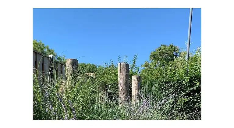vakantiehuis in Zoutelande