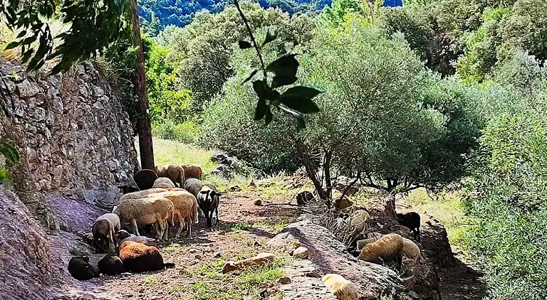 Holiday home in Anduze