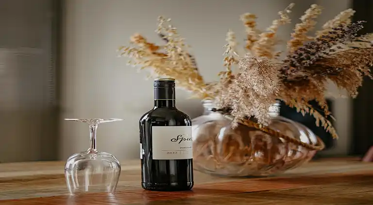 Sommerhus i Egmond aan Zee