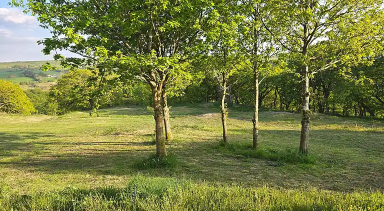 Luxuriöse walisische Holzhütte