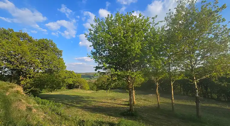 Luxuriöse walisische Holzhütte