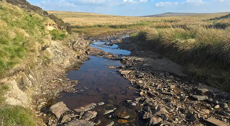 Luxuriöse walisische Holzhütte