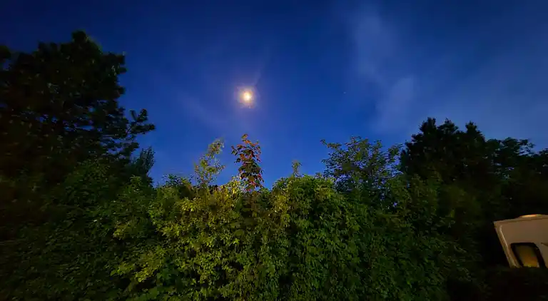 Luxuriöse walisische Holzhütte