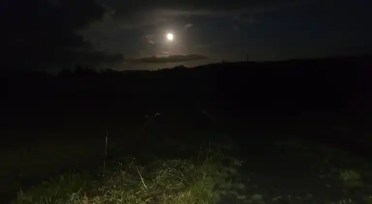 Luxuriöse walisische Holzhütte