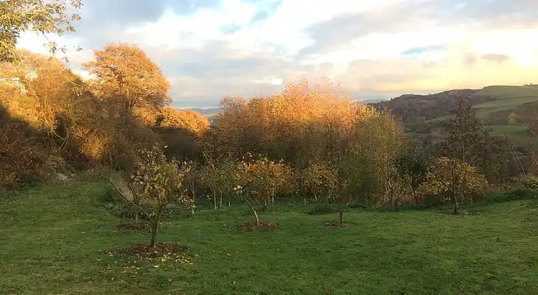 Luxuriöse walisische Holzhütte