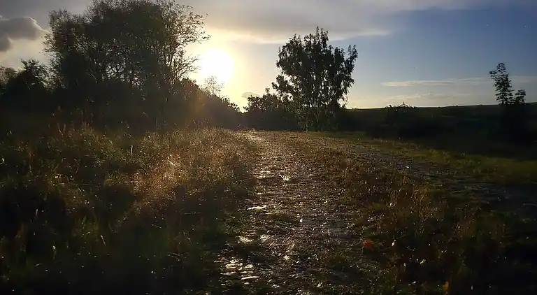 Luxuriöse walisische Holzhütte