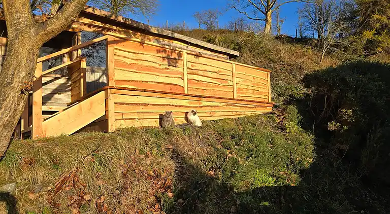Luxuriöse walisische Holzhütte