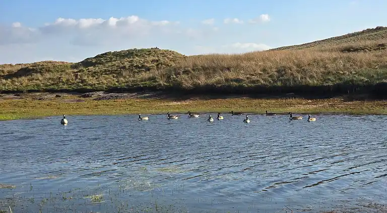 Luxuriöse walisische Holzhütte