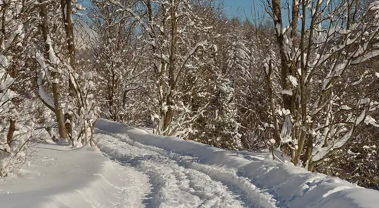Ferienwohnung in Medraz