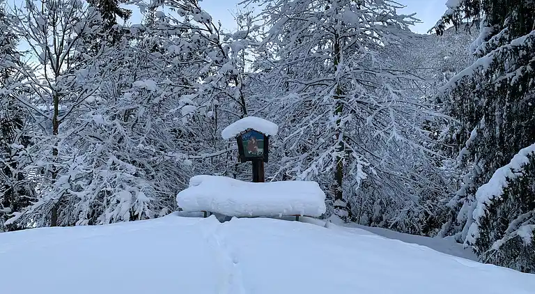 Ferienwohnung in Medraz