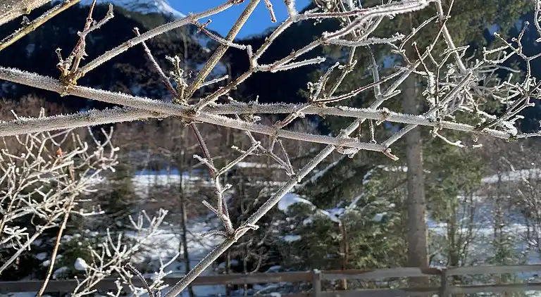 Ferienwohnung in Medraz