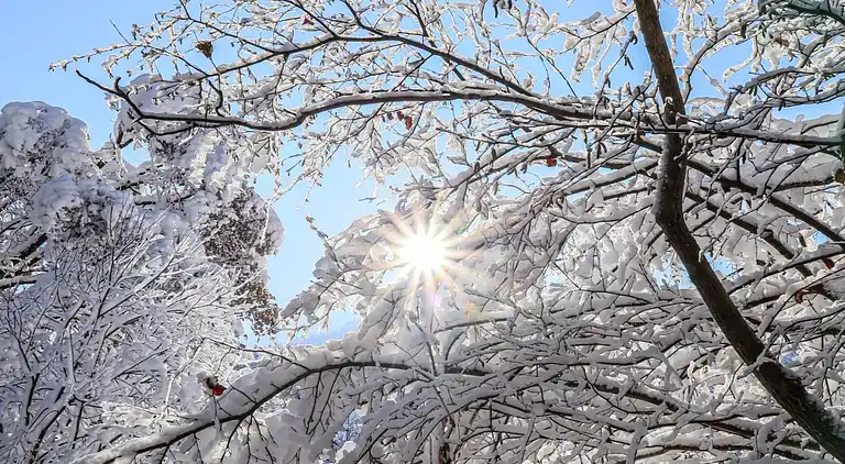 Ferienwohnung in Medraz