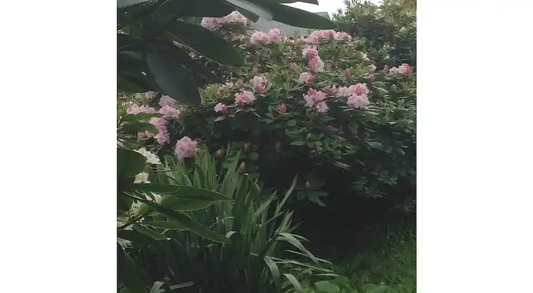 Holiday home in Beverstedt