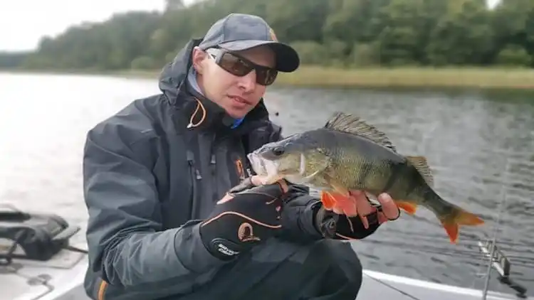 Sommerhus i Giżycko