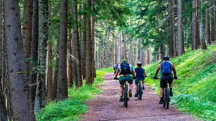 Sommerhus i Giżycko